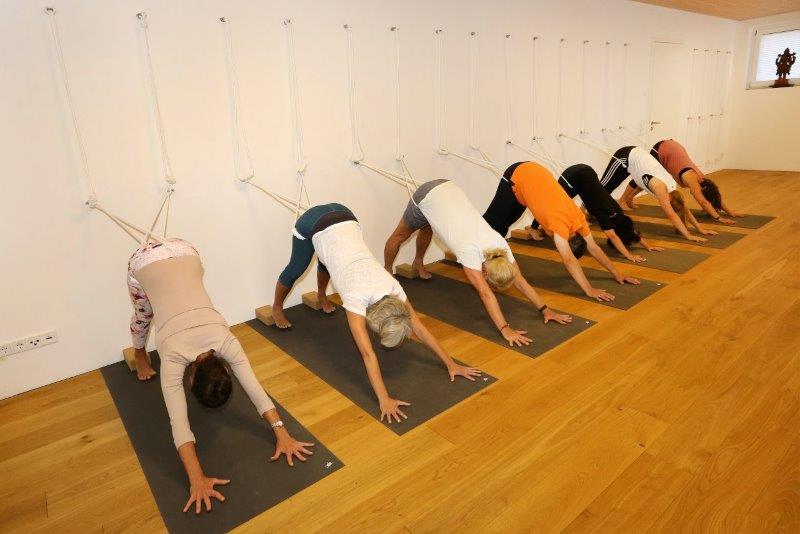 Adho mukha svanasana im Tau im Moksha Yoga Studio Neustadt