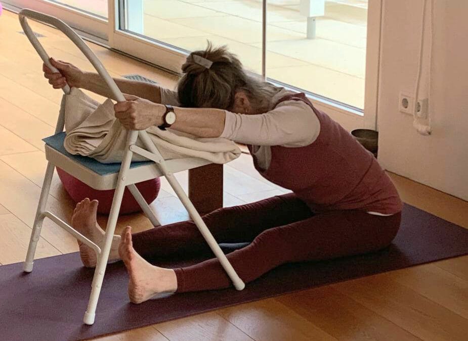 Workshop Regeneratives Yoga